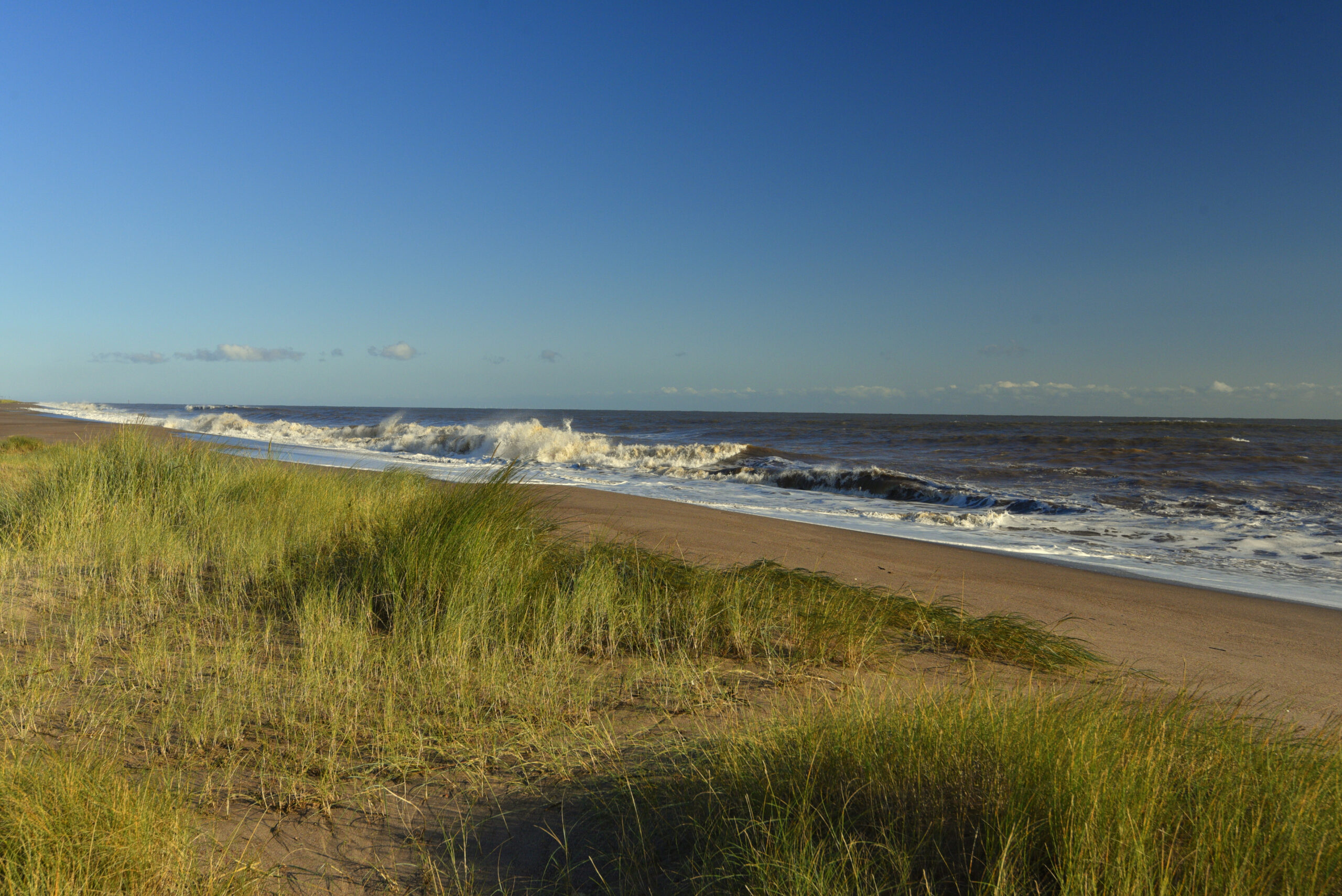Grassy dunes overlooking a sandy beach and rolling waves on the Lincolnshire coast